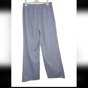 Women  Blue Striped Pants